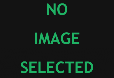 Uploaded Image